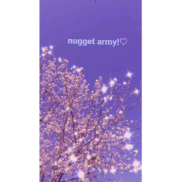 Nugget-Army's obby