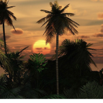 Tropical bear