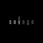 Roblox Savage Team