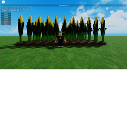 CORN RP