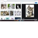 wolfpackkkkkkkkkkk