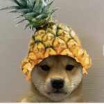 Pineapple for life 🍍