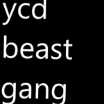 YCDGANG