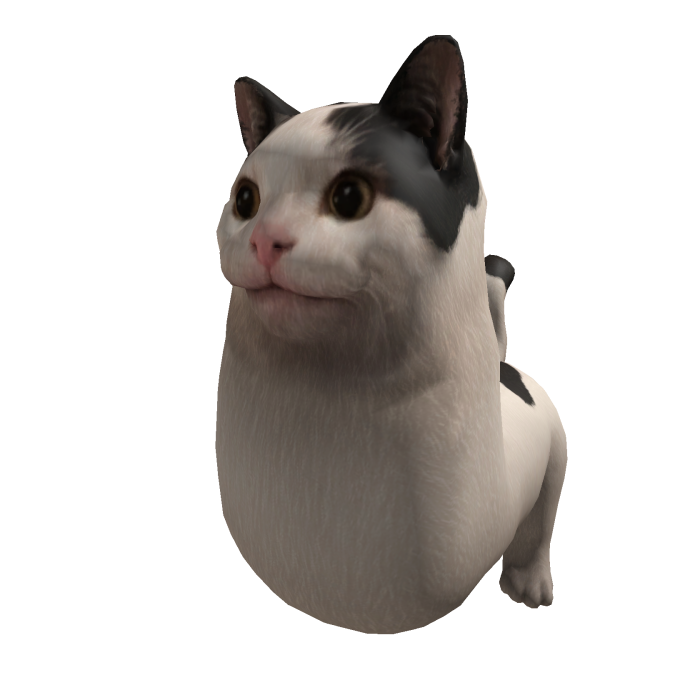 Meme Cat Suit