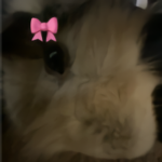 ~|SunnyXCloudy|~