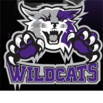 {Weber State Wildcats football program™}