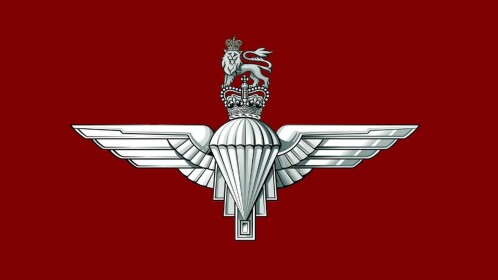 PARAS COMBAT