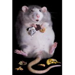 Fat rat juice