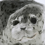 Sealy Bois