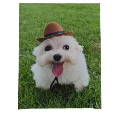 Cute Goofy Dog Cape Roblox item render