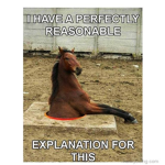 HoRsEy...