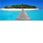 Tropical Island Cafe ™
