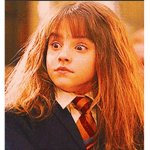 Harry Potter Fans •
