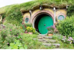 Hobbit Fan's