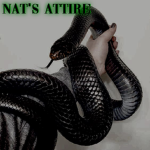 Nat's Attire