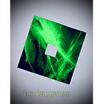 The Pro'gamers