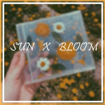 Ｓｕｎ Ｘ Ｂｌｏｏｍ
