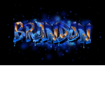 brandon freinds