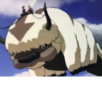 APPA TRIBE