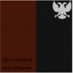 7th Combined Arms Platoon