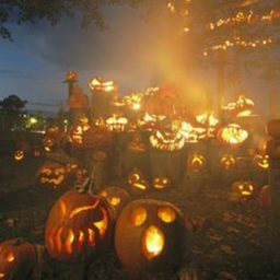 when pumpkins