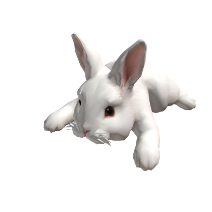 White rabbit on the head