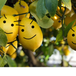 Wicked Lemonz