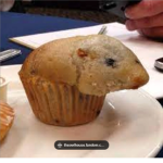 Muffin Madness Studios