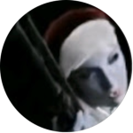 Comtf Studios