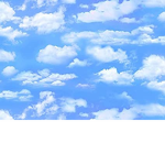 Sunny Skies <3