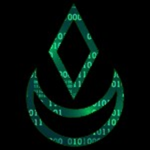 Crypto Vadovas