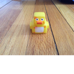 The duck dudez