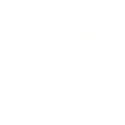 Animated White Black Holy Wings w/ Halo (Emissive) Roblox item