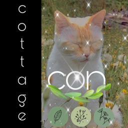 cottage con