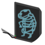 X-Ray Chomik