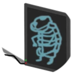 X-Ray Chomik