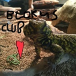 Blokus Club