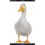 US ARMY PERSONNEL.