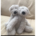 Polar and Poli Clan