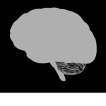 Brainless Creations