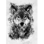 Lynx wolfs
