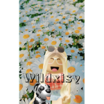 Simply Daisy