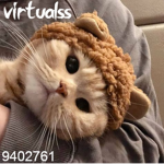 virtualss