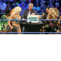 🌹👑 Rose Gold Wrestling Federation 👑🌹's Place N