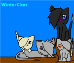 winterclan