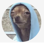 Hoodie dog gang