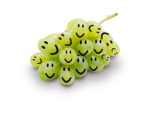 grape gan