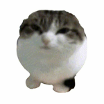 Grupo de Ami -robux-