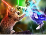 Star Wars kittens