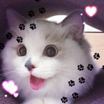 Animal L o v e r s !